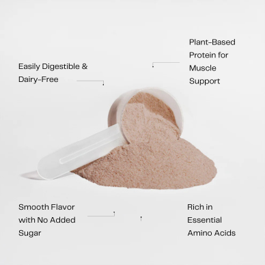 Vegan Pea Protein Isolate (Chocolate)