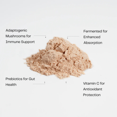 Fermented mushroom prebiotic powder for gut health and immunity.
