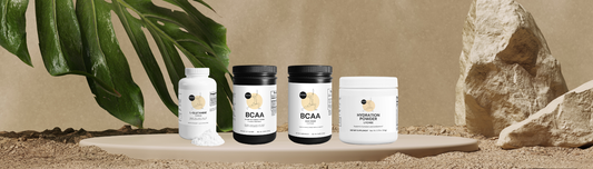 Respect My Hustle Train & Recover Bundle