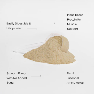 Vegan Pea Protein Isolate (Vanilla)